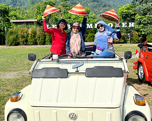 Dolan VW Safari